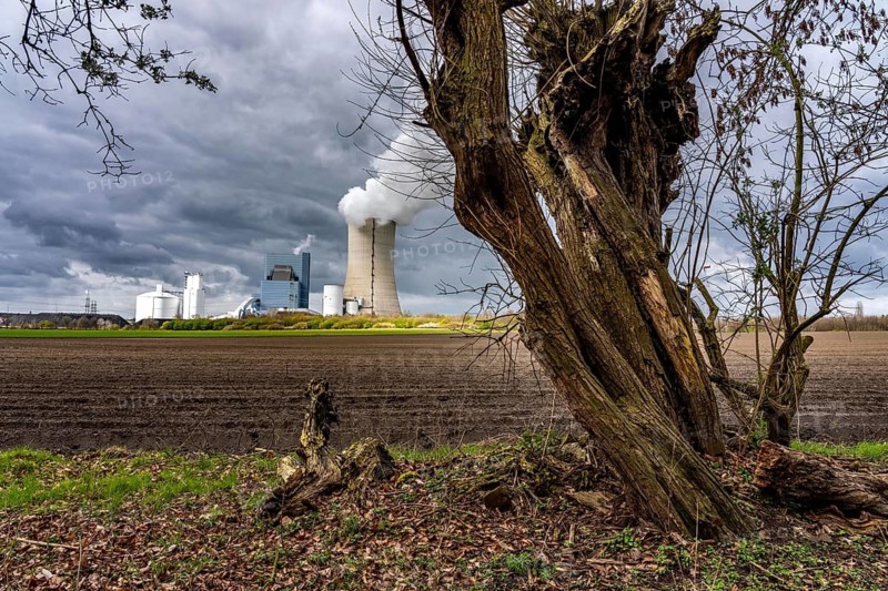 The UNIPER Datteln 4 coal-fired power plant, power plant block and cooling tower, fields, old trees, Datteln, North Rhine-Westphalia, Germany
