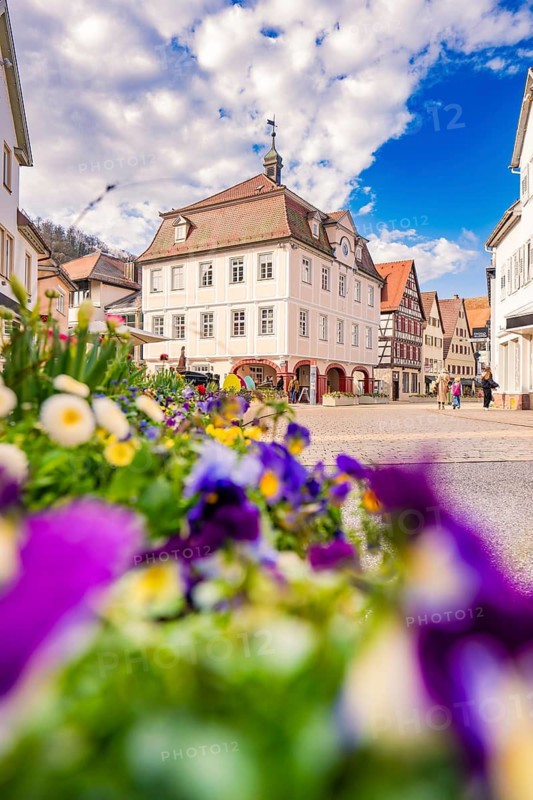 View of half-timbered houses and colorful spring flowers under a blue sky, Nagold, Calw district, Germany