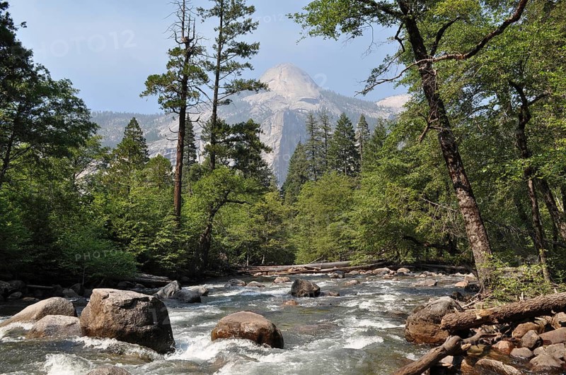 Clear river flows through a forest with rocks and a mountain in the background in Yosemite National Park, Yosemite National Park, California, USA