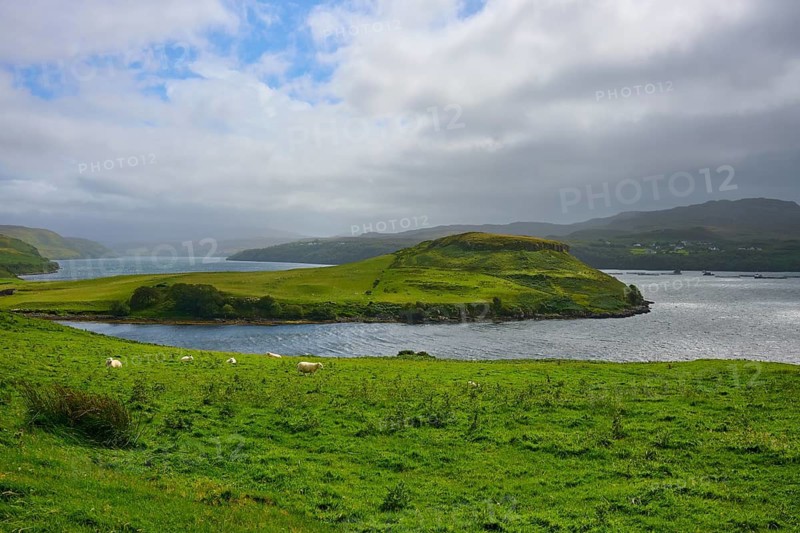 Green hilly landscape by the sea under a cloudy sky, Isle of Skye, Scotland, United Kingdom, Great Britain