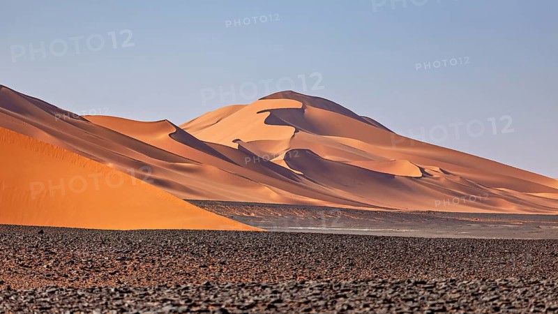 Gently curving sand dunes in an open desert landscape with a blue sky, The endless sand dunes of the Sahara in Algeria