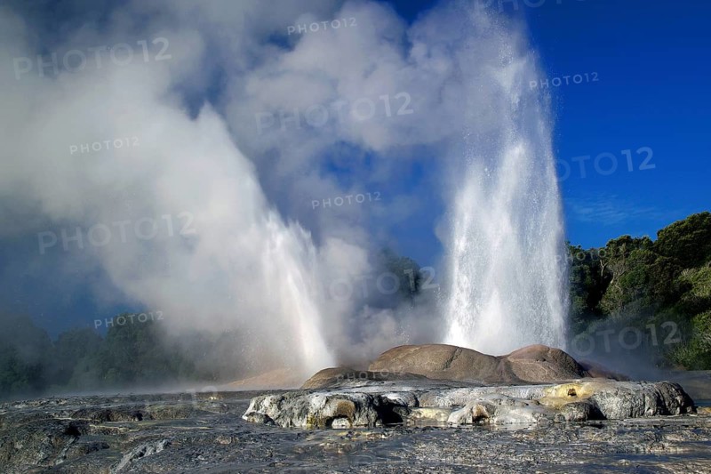 New Zealand, North Island, water fountain, Whakarewarewa, Pohutu Geyser, New Zealand