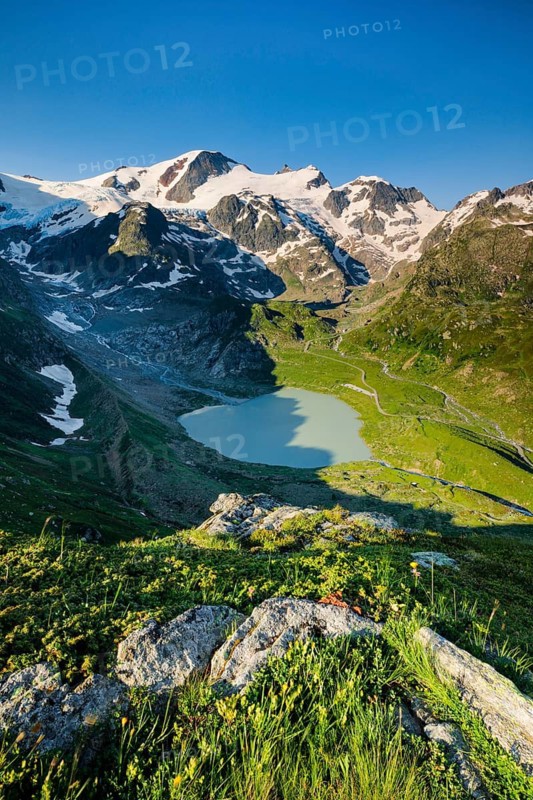 Gwächtenhorn with Steingletscher and Steinsee on the Susten Pass, Canton of Bern, Switzerland