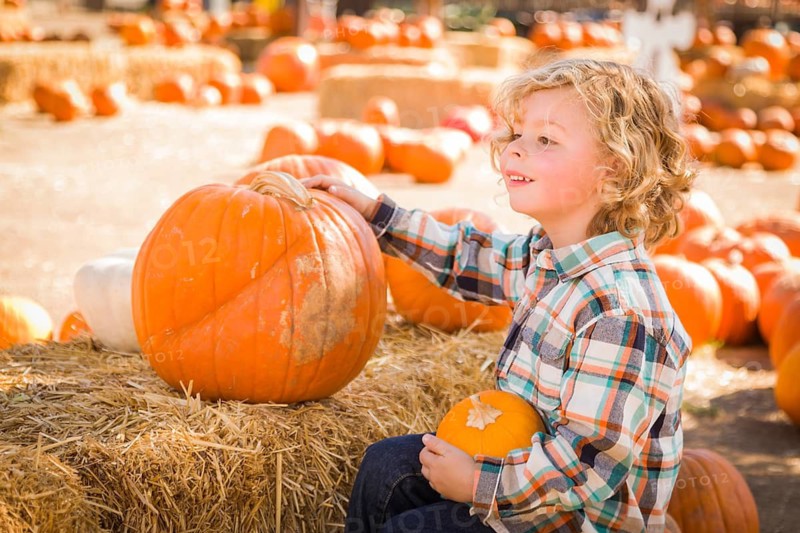 Little Boy Sitting and Holding His Pumpkin in a Rustic Ranch Setting at the Pumpkin Patch