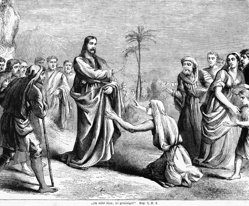 I want to do it, be cleansed! chapter 8, verse 3, Matthew Gospel, Christ's wonders, mountains, Jesus, raise hands, crowd, wonder, landscape, place, people, leper, on knees, worship, purify, healing, palm tree, New Testament, Bible, historical illustration 1850