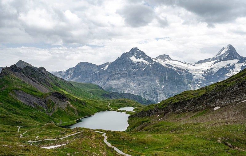 Mountain landscape with Bachalpsee mountain lake, Mittelhorn peaks and Schreckhorn with upper Grindelwald glacier, Bernese Alps, Bernese Oberland, Switzerland