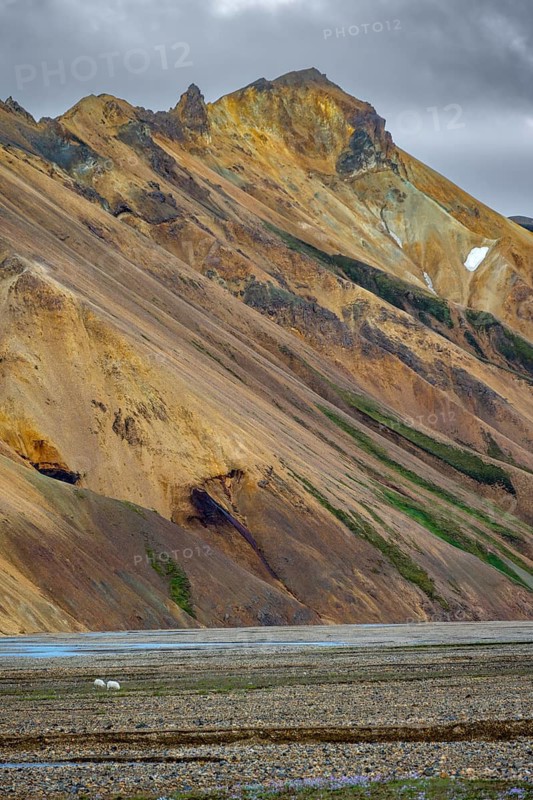 Rhyolite mountains, volcanic landscape, colourful erosion landscape with mountains, Landmannalaugar, Fjallabak nature reserve, Icelandic highlands, Suðurland, Iceland