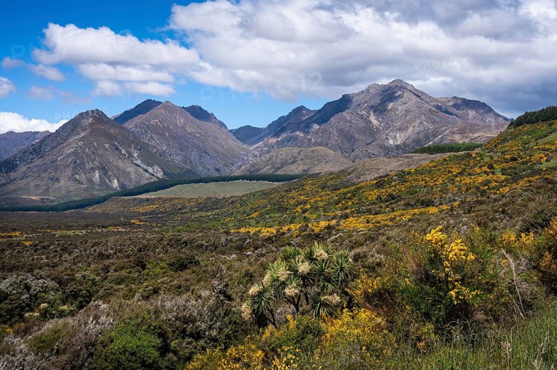 Landscape with mountains, Brunel Peaks, Fiordland National Park, Southland Region, South Island, New Zealand