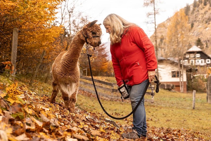 An elderly woman tenderly interacts with a brown alpaca among the autumn leaves in the Austrian countryside, showcasing a serene, nurturing moment in nature
