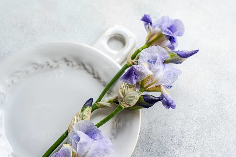 From above elegant purple Iris flowers lying across a vintage ceramic plate, set against a textured grey background, creating a refreshing and aesthetic display