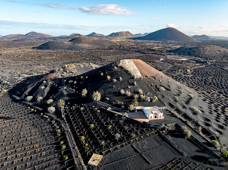 Typical drywall viticulture in volcanic landscape, on volcanic ash, lapilli, aerial view, vines, La Geria wine-growing region, Lanzarote, Canary Islands, Spain