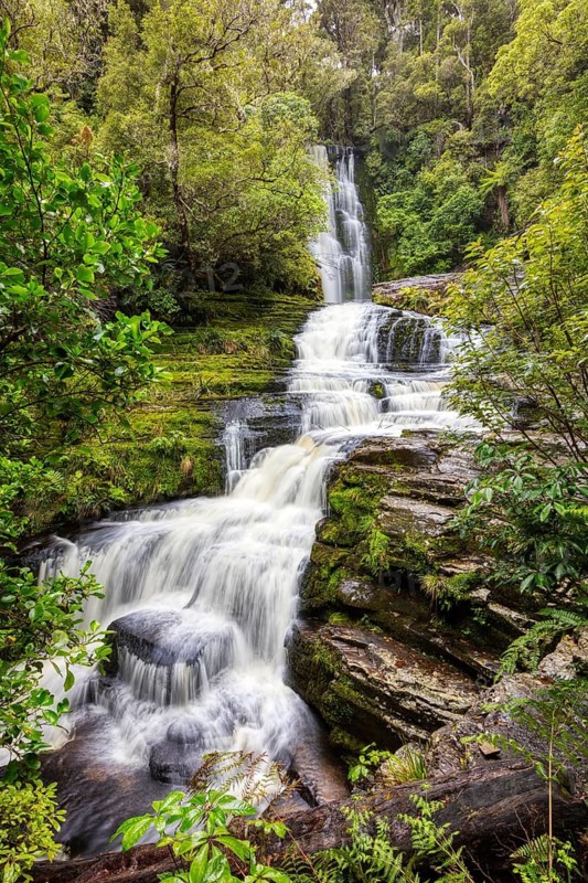 McLean Falls, Tautuku River, Otago, Neuseeland