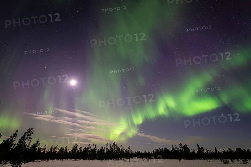 Northern Lights (Aurora borealis), Muddus National Park, Laponia World Heritage Site, Norrbotten, Lapland, Sweden, April 2025