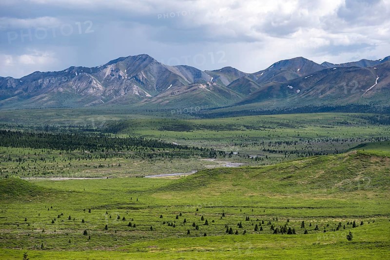 Tundra and mountain landscape with dramatic cloudy sky, Denali National Park, Alaska, USA
