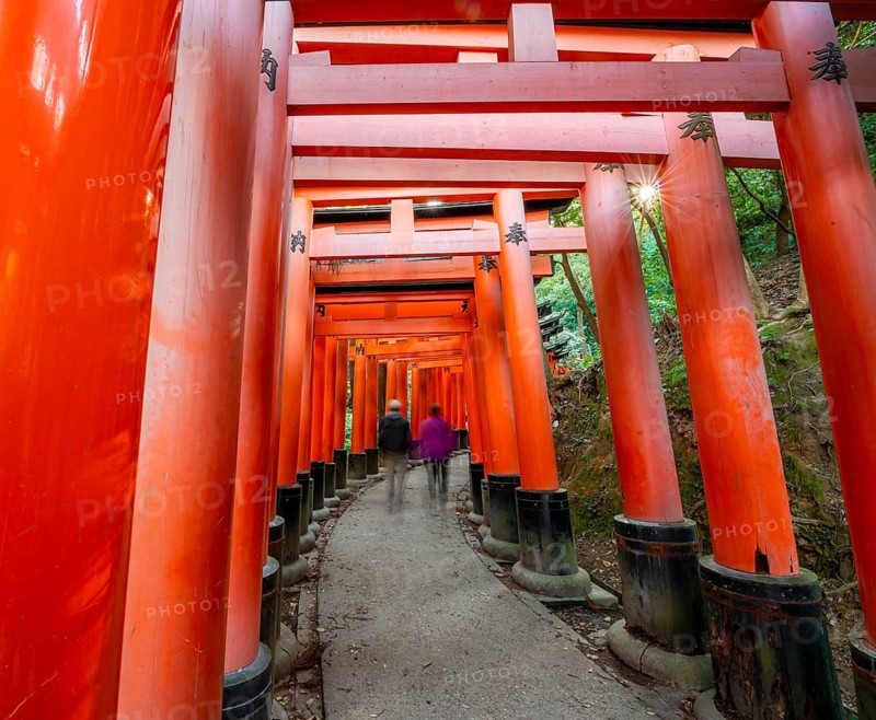 Visitors on a journey through hundreds of red traditional torii gates, Fushimi Inari-taisha, Shinto shrine, long exposure, motion blur, Fushimi Inari-taisha Okusha Hohaisho, Kyoto, Japan