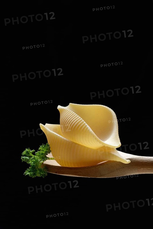 Conchiglione, Italian pasta variety on cooking spoon in front of black background, Italy