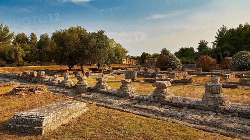 Leonidaion, Wide Ruin Field with Column Remains and Surrounding Vegetation, Archaeological Site, Ancient Olympia, Olympia, Peloponnese, Greece