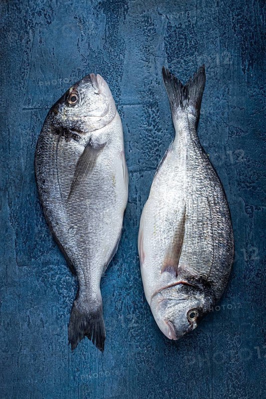 Fresh raw dorado fish, on a dark blue background, top view, two pieces, no people