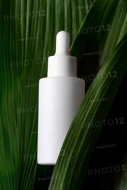 A sleek, white cosmetic dropper bottle elegantly positioned against a backdrop of lush green leaves, emphasizing eco-friendly and nature-inspired beauty products