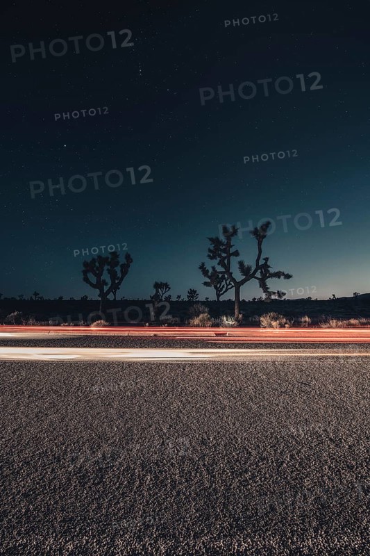 Road at night in Joshua Tree National Park