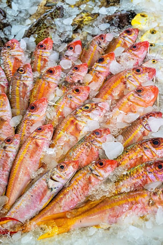 Red Sea Fish, Fish Market in Hurghada, Egypt
