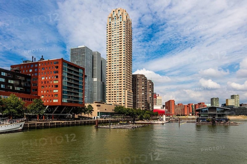 Modern architecture in the city panorama, Rotterdam, the Netherlands