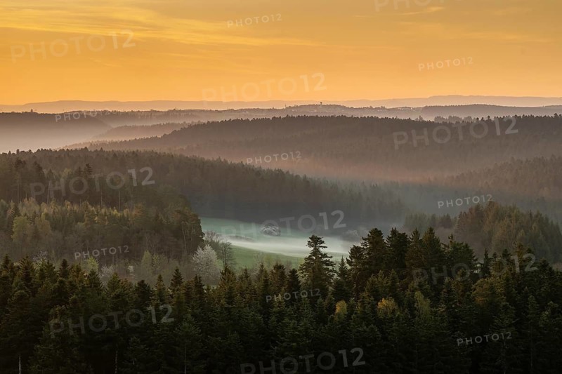 Sunrise and morning fog, Black Forest near Freudenstadt, Baden-Württemberg, Germany