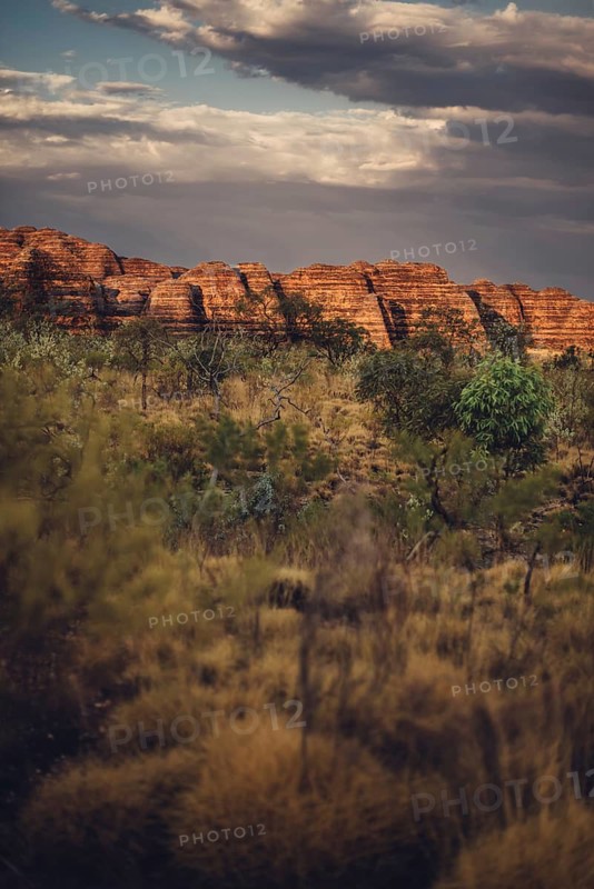 Bungle Bungle Range, Outback, hiking in Australia in high heat, Western Australia, Australia