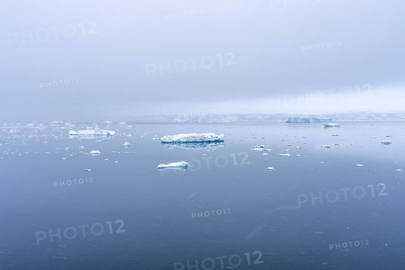 Floating ice floes and small icebergs on a mirror-smooth sea surface in fog and snowfall, glacier edge in the background, Wilhelmina Bay, Antarctic Peninsula, Antarctica