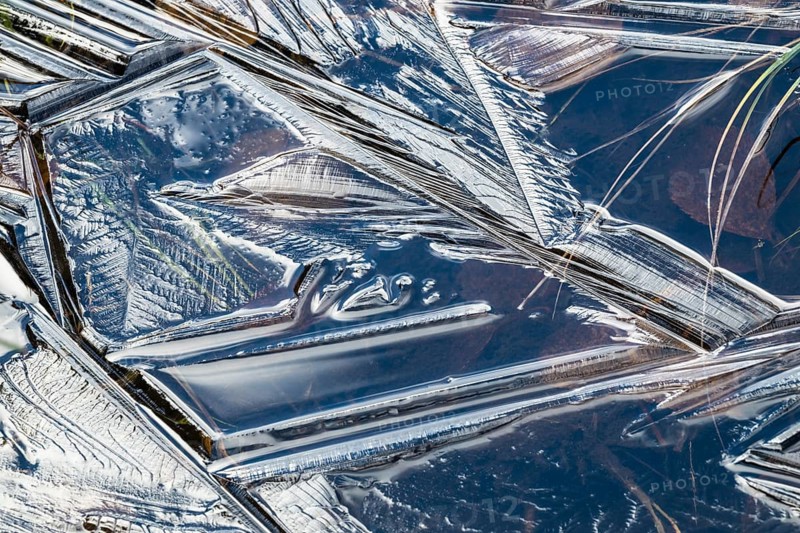 Abstract ice structures and reed stalks, Norrbotten, Lapland, Sweden, September 2024