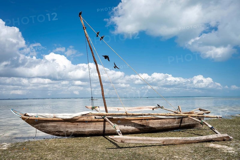A classic Zanzibar outrigger boat dhow standing on the shore during low tide, reflecting the rich maritime culture and traditional fishing of East Africa