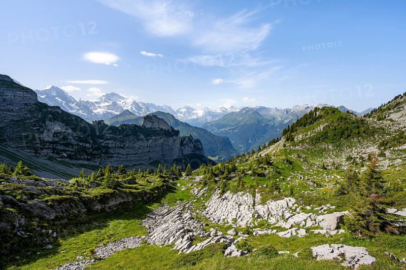 Picturesque mountain landscape, glaciated mountain peaks Eiger Mönch and Jungfrau, Schynige Platte, Bernese Alps, Bernese Oberland, Switzerland