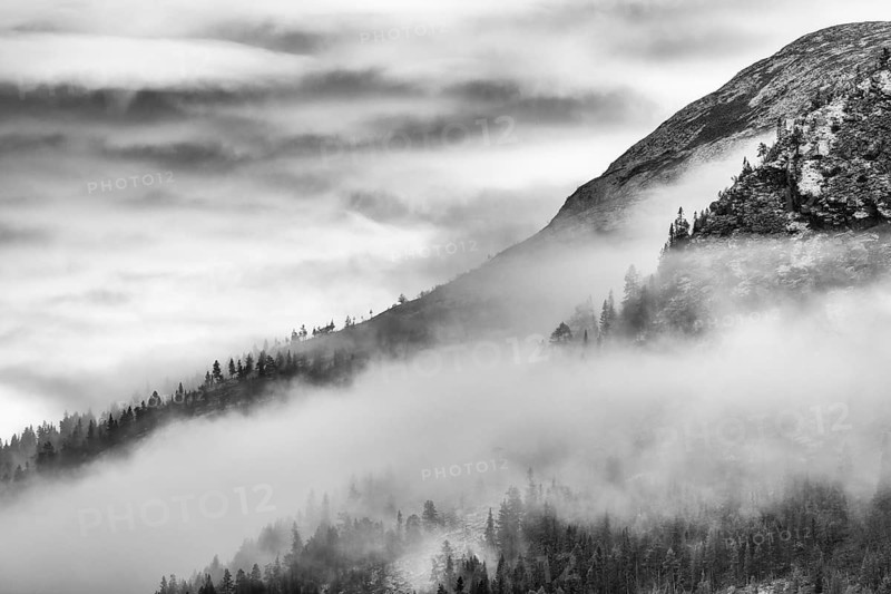 Foggy weather in the mountains, Alvdal Vestfjell, Hedmark, Innlandet, Norway, November 2025