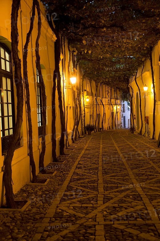 Historic cobbled street Calle Ciegos lit in evening, Gonzalez Byass bodega, Jerez de la Frontera, Spain