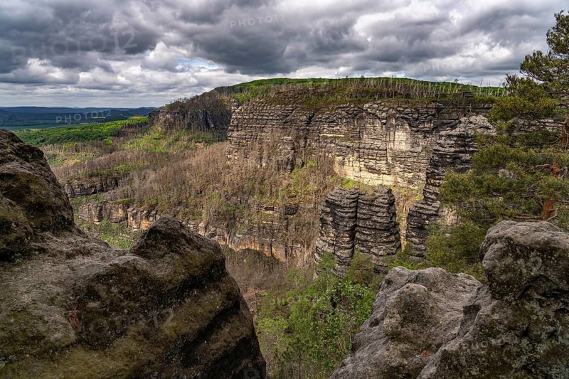 Rock formation and forest in the Bohemian Switzerland National Park near Hrensko, Czech Republic