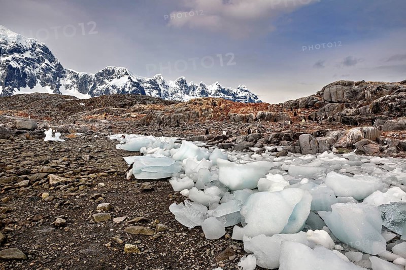 Broken chunks of ice lie over a barren, rocky landscape in front of mountains, The coast and landscape of Antarctica