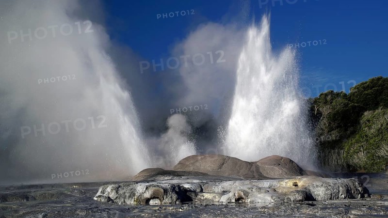 New Zealand, North Island, geyser in Whakarewarewa, Pohutu geyser, Whakarewarewa, North Island, New Zealand