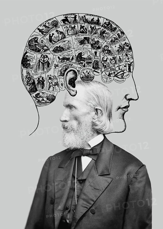 Orson Squire Fowler, 1809 – 1887, American phrenologist with a Phrenological Chart, head with mental and moral faculties