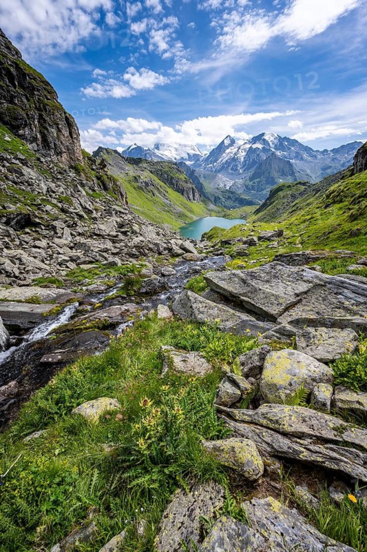 Mountain stream in picturesque mountain landscape, view of mountain lake Lac du Louvie and glaciated mountain peaks of the Grand Combine, Valais Alps, Val de Bagnes, Valais, Switzerland