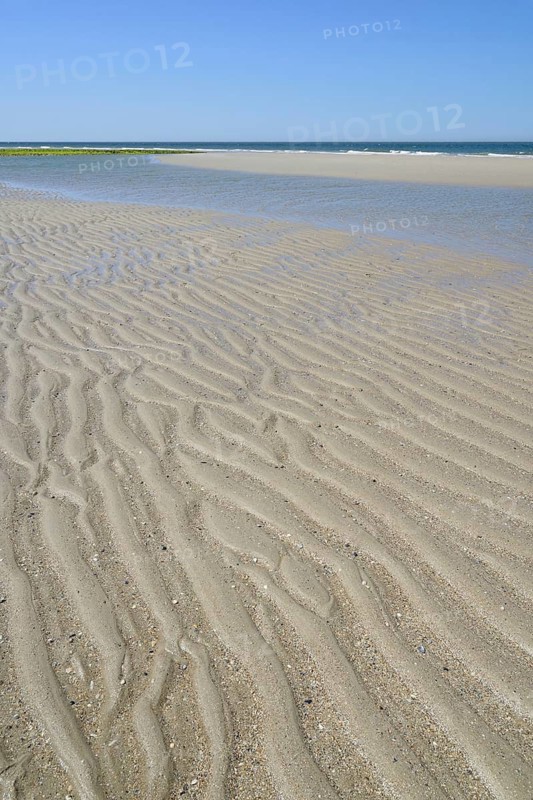 Beach at low tide with wave-like structure, current ripples in wet sand, blue sky, North Sea, Norderney, East Frisian Islands, Lower Saxony, Germany