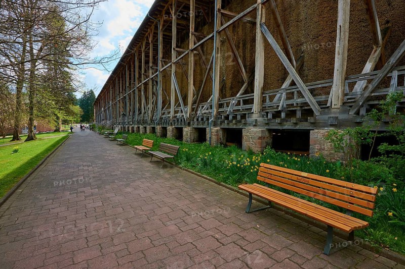 Long path with benches in front of a graduation house in the park, spa town of Bad Orb, Spessart nature park Park, Main Kinzig district, Hesse, Germany