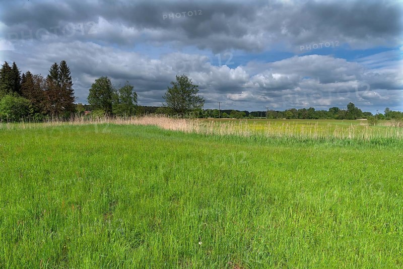 Wisenlandschaft, Schrobenhausen, Upper Bavaria, Germany
