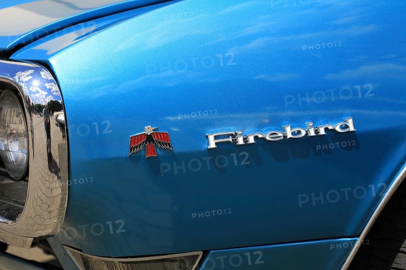 At the annual Kulmbach classic car meeting, Bavaria, Germany, car, classic car, detail, Pontiac Firebird of the first generation (here a 1967/1968 model based on the emblem