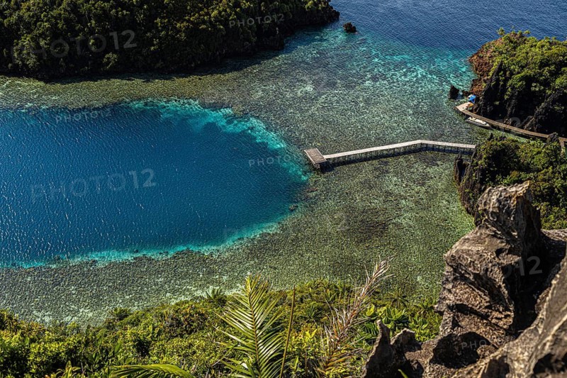 From above, this breathtaking drone shot captures the lush, vivid coastal scenery of Raja Ampat in Indonesia. The image showcases the rich blue and turquoise waters mingling seamlessly with the dense tropical greenery
