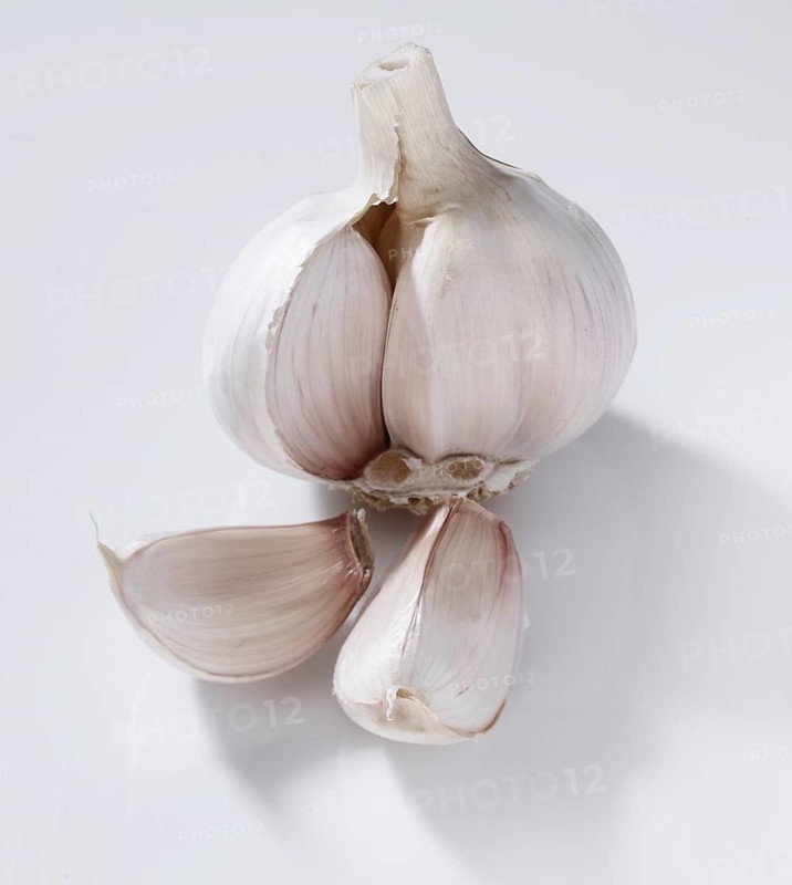 Garlic (Allium sativum), on a white background, studio shot