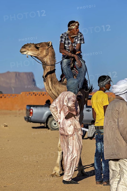 A man on a camel stands next to people in traditional dress against a mountain backdrop, Tuareg camel riders at the Tamanrasset Festival in the Sahara in Algeria