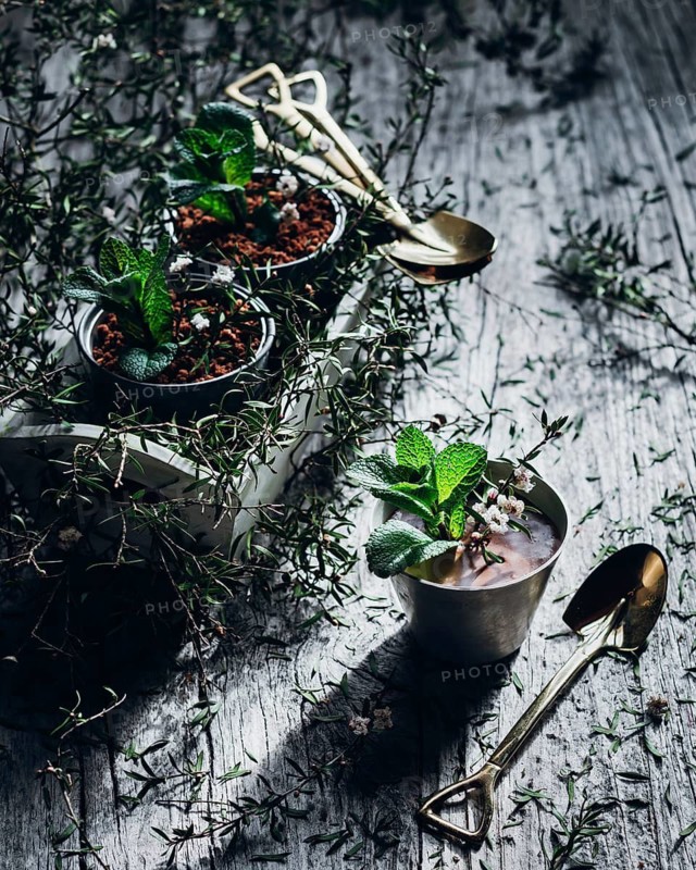 A creative presentation of a delicious mint chocolate dessert garnished with fresh mint in decorative garden style cups, accompanied by small shovels, set on a rustic wooden table
