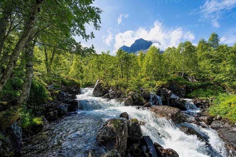River Flou between Birkenwald, Innerdalen, Hochtal, Sunndal, Møre og Romsdal, Vestlandet, Norway
