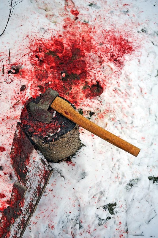 House slaughter on a farm: duck slaughter ground with chopping block and axe, duck blood in the snow in the back, Eckental, Middle Franconia, Bavaria, Germany