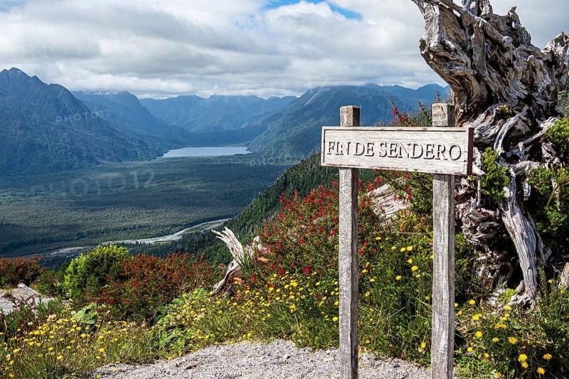 End of hiking path up to viewpoint, crater rim of volcano Chaiten, dead trees, Park Patagonia, Patagonia, Chile